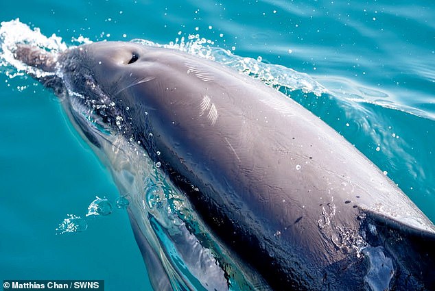 The impressive image was taken off the coast of Gibraltar