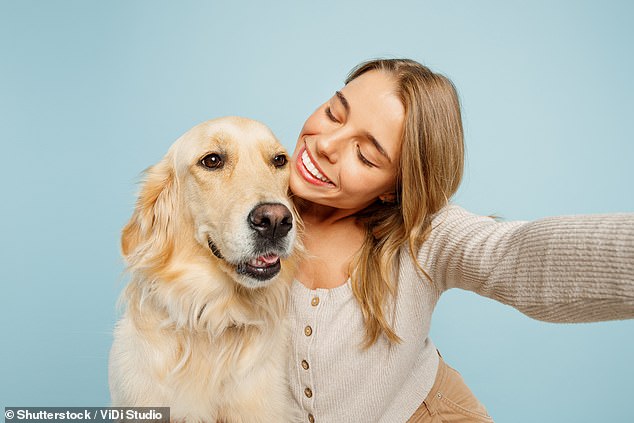 Dogs' understanding of human speech depends on a much slower pace, experts say, and slowing down our speech can help us connect better with them (file image)