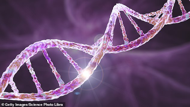 Researchers will explore the potential of storing an individual genome throughout a person's life and using it to help predict, diagnose and treat future diseases.