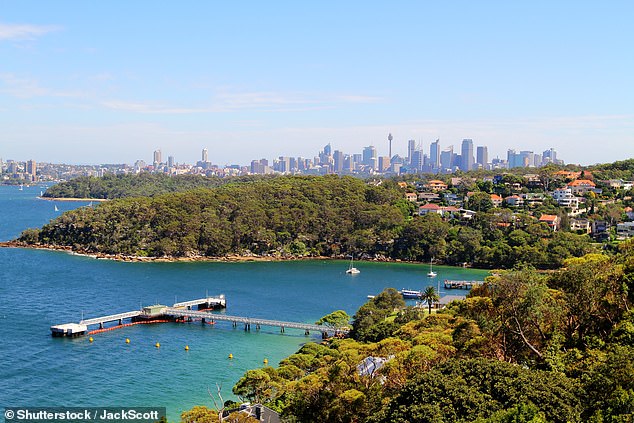 Recreational Fishing Alliance NSW president Stan Konstantaras described calls to ban fishing in this part of Sydney Harbor as 