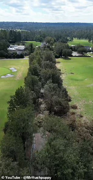 Drone Footage Captures Magnolia Lane After Hurricane Helene