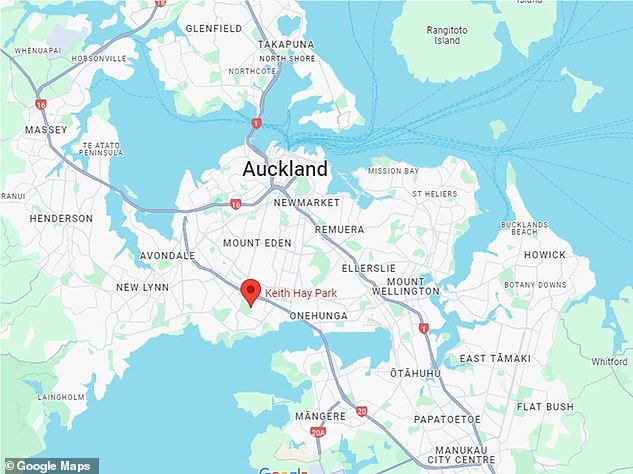 The park is located just southeast of Auckland city center and the event will be hosted by Auckland United.