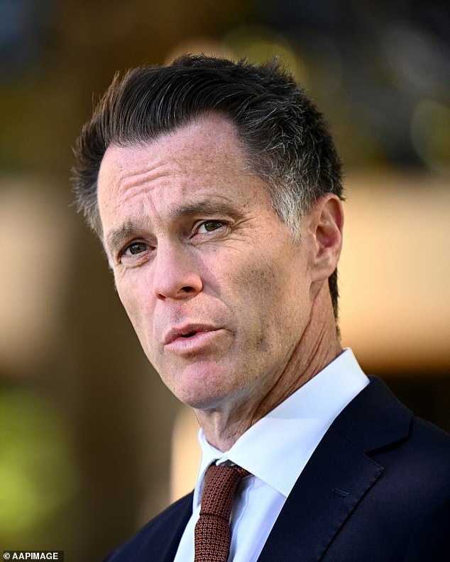 New South Wales Premier Chris Minns (pictured) ordered his state's 400,000 workers back to the office, starting August 6, without warning, causing an uproar.