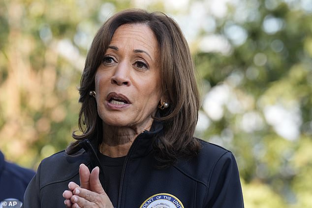 Vice President Democratic presidential candidate Kamala Harris