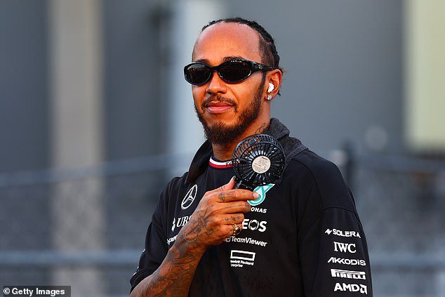 Lewis Hamilton is among the drivers who have supported Verstappen after his FIA sanction