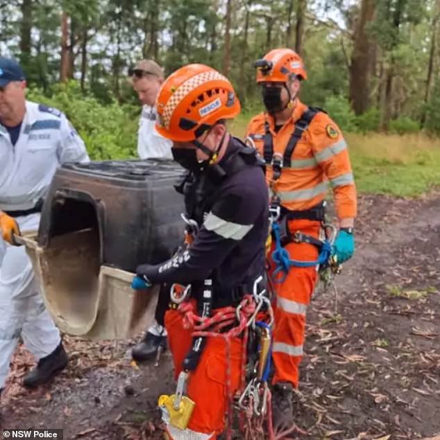 An SES team (pictured) removed the pet from the area and discovered it was unable to lift its body and had a large tumor with an open wound.