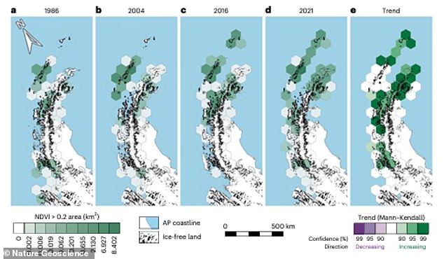 The team analyzed satellite images taken on the Peninsula over the past 40 years and found that vegetation cover has increased significantly