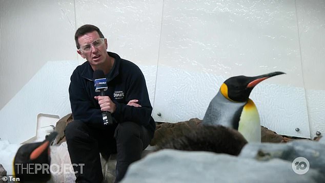 The famous 50-year-old TV star could barely keep a straight face during the hilarious segment in which she asked the seabird if 