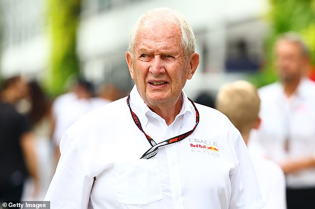 Red Bull team advisor Helmut Marko (pictured) believes Mick's career could be over if he does not get a seat next year.