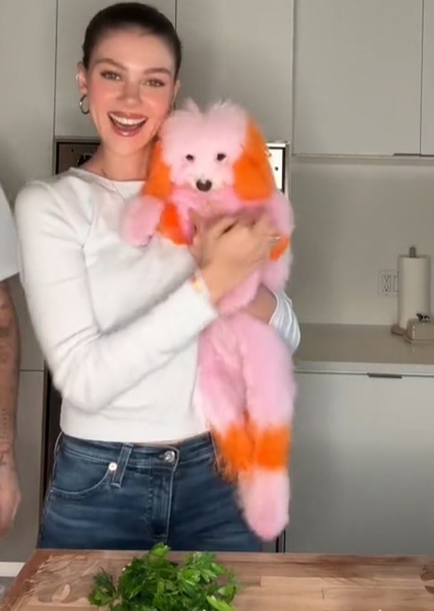 So why is this talentless couple engaging in a new form of animal cruelty by dying their white Bolognese dogs' fur pink, purple and orange?