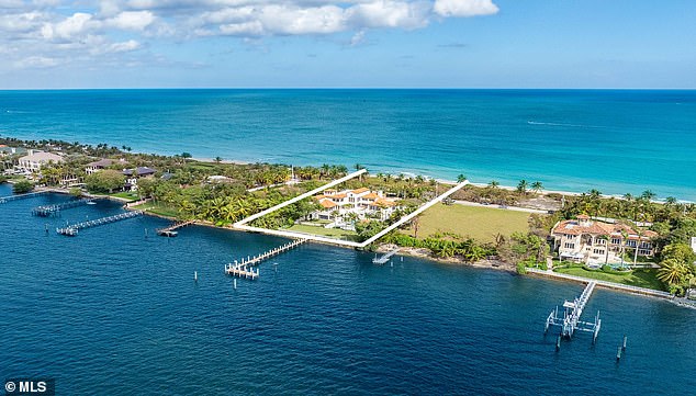 The new owners will also receive an exclusive membership to Oracle co-founder Larry Ellison's Eau Palm Beach Resort & Spa, an eight-acre hotel with a variety of suites, restaurants, a beach and a fitness center.