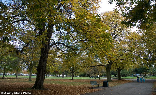 Shotter was found dead on a bench in Southall Park (pictured), west London, in July 2021.