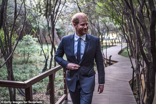 The Duke of Sussex pictured on his four-day solo tour to South Africa on October 3