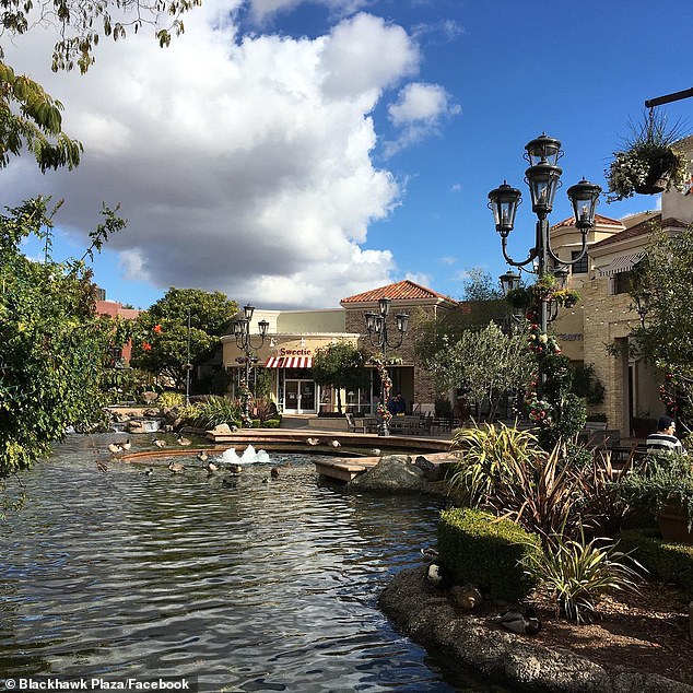 Nutria has now arrived in the California Delta of Contra Costa County, one of the state's most important water sources and ecological sites. Pictured: Danville's Blackhawk Plaza