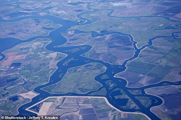 The California Delta channels water across the state for agricultural uses and human consumption