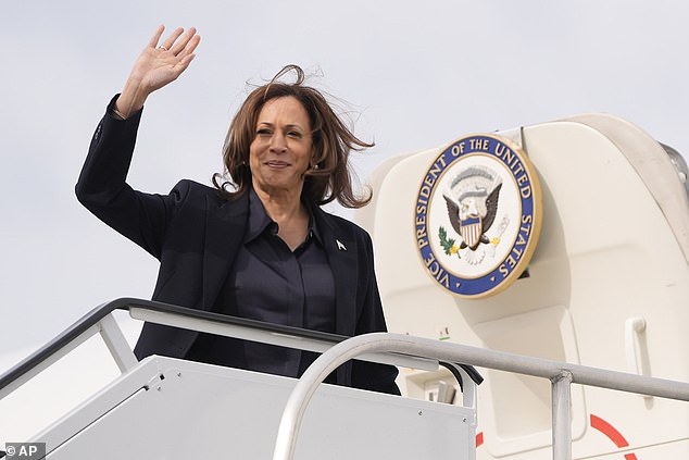 Kamala Harris only needs a few thousand Nikki Haley fans to support her and she could win the key state of Michigan in the November election.