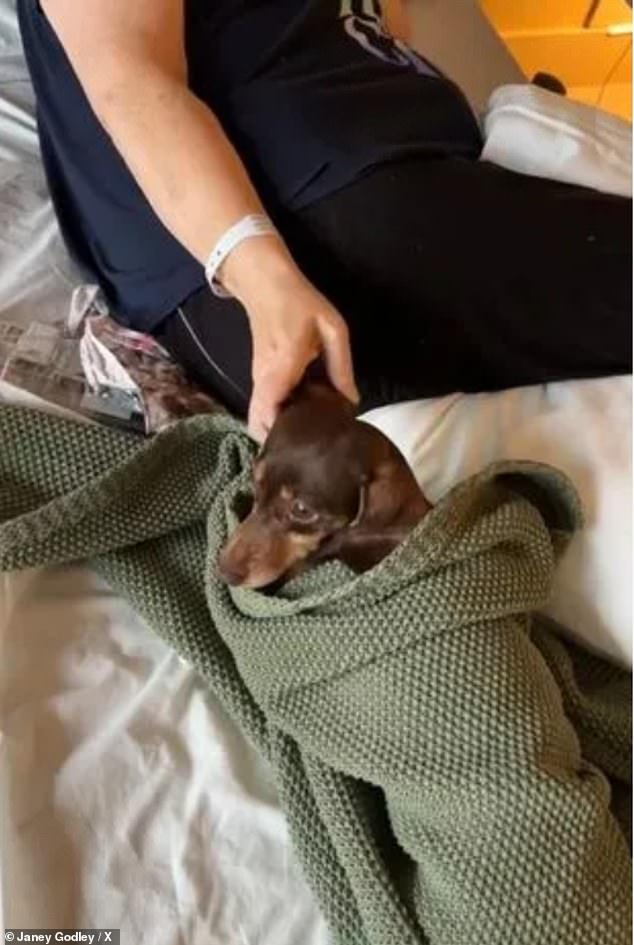 The cute dachshund looked very happy to be back with the star and pounced on her with pure excitement before Janey wrapped her in a green blanket.