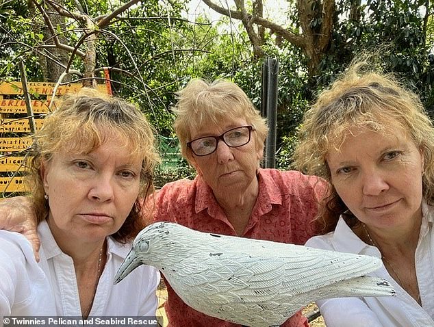 The Powers twins now have a white-painted crow statue at Twinnies Pelican and Seabird Rescue. Paula and Bridgette are pictured with their mother Helen.