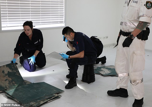 The couple moved from Egypt to Sydney more than 30 years ago and had lived in the Greenacre home for the past five to 10 years (pictured, forensics at the Juno Parade home).