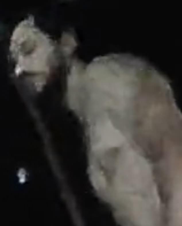 One of the images of him naked on stage that have been uploaded to the internet