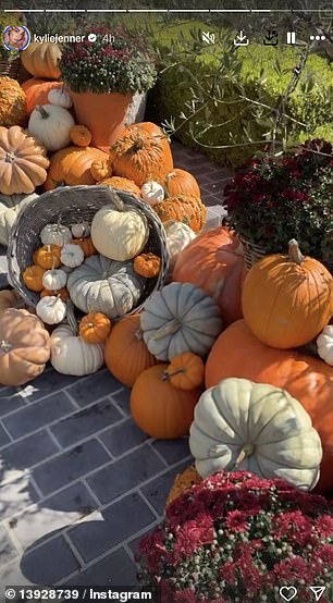 To appeal to her nearly 400 million Instagram followers, the 27-year-old billionaire uploaded images of her fall decor.