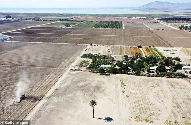 An aerial view of a tractor operating near the drought-ravaged Salton Sea in July 2022, near Mecca, California.