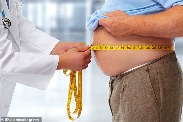 The average middle-aged man weighs 14 kilos and sports a 40-inch waist, while women aged 45 to 64 now weigh an average of 12 kilos, with 36-inch waists (file image)