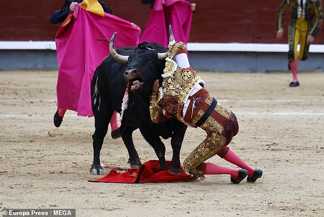 The act was the first bull of the bullfighter of the sixth bullfight of the Autumn Fair that was held this afternoon