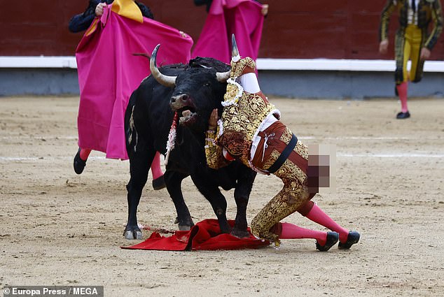 The beaten and bruised young man manages to stagger to his feet and limp out of the Las Ventas bullring, while relying on helpers.