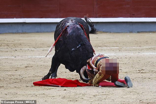 Passersby rushed to help the young man and distract the animal as it lay on the ground.