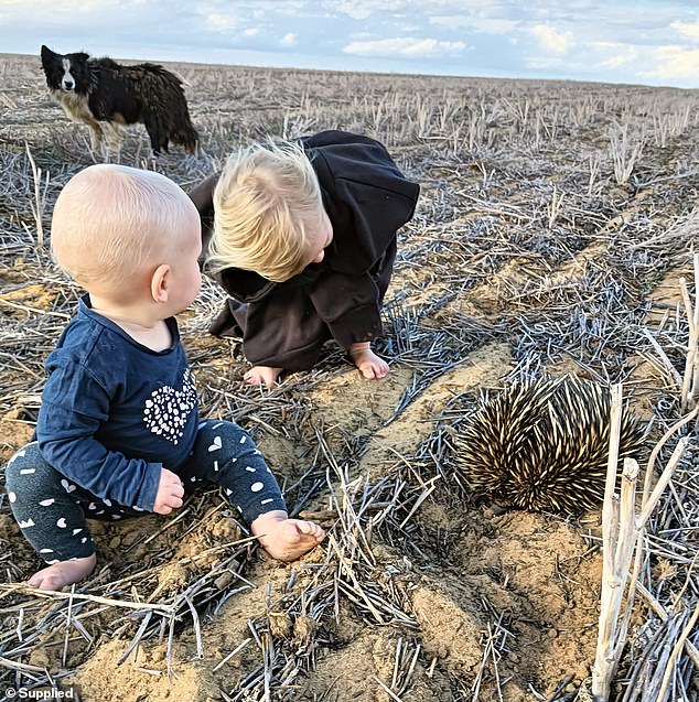 Grove said the animal activists she saw online seemed to hate farmers, but she was just a mother with two children (pictured).