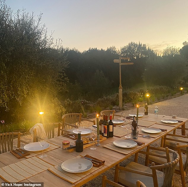 Making the most of the gorgeous weather, Vick and his family enjoyed an outdoor dinner, while the party drank numerous bottles of red wine and beer.