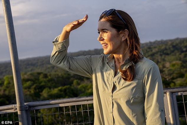 The royals enjoyed stunning views of the Amazon rainforest as they began their visit to Brazil this week.