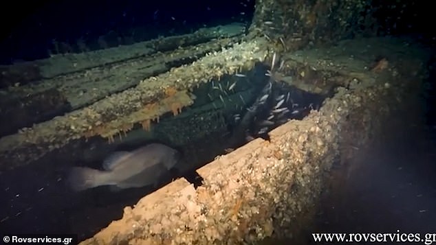 Creepy footage shows fish circling barnacle-covered submarine wreckage