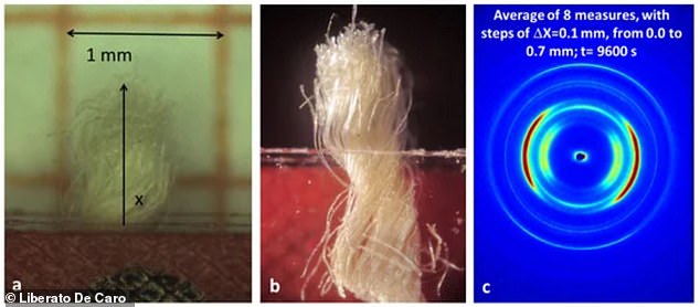 Scientists obtained small samples of the Shroud of Turin (left) and exposed them to wide-angle X-ray radiation to create an image of the linen sample (right) that was used for dating.