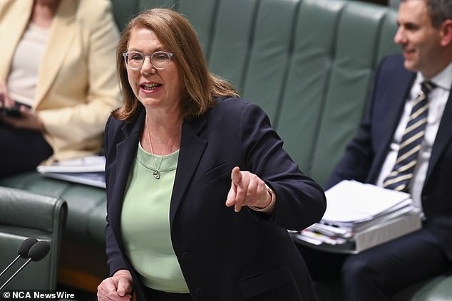 Labor Transport Minister Catherine King (pictured) left the door open to possible government acceptance, saying 