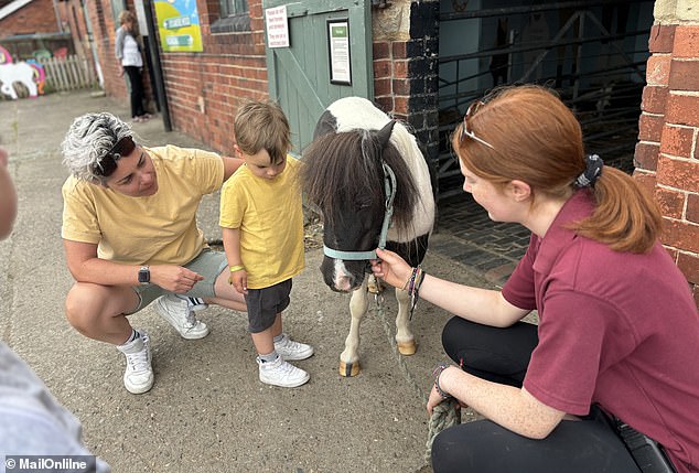 Lisa says: 'Park Hall The country experience is not to be missed. Kids can explore the bouncy castle and soft play, pet rabbits and guinea pigs, and meet the resident mini pony (above).'