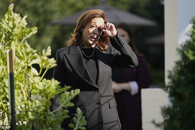 Kamala Harris speaks to reporters and pledges to 