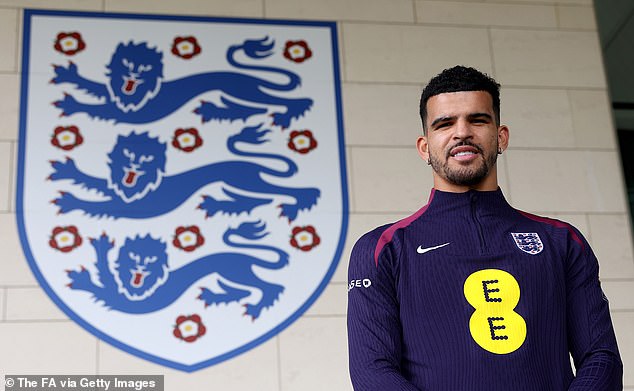 Solanke has been called up to the senior England squad for the first time since November 2017.