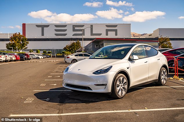 Tesla has dropped the price of its Model Y (pictured) in Australia three times since March and its base model now costs just $55,900 before on-road costs – a discount of $13,000.