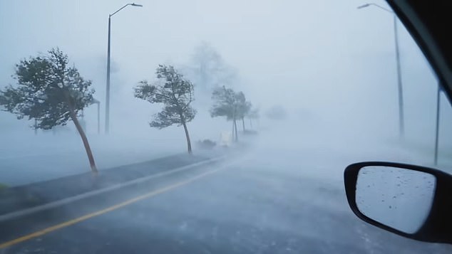 Trees are felled by monstrous hurricane winds in the images