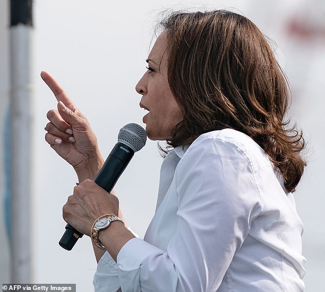 Harris is known to own three Cartier watches, including the $16,500 steel and gold Ballon Bleu watch that she has been repeatedly photographed wearing (pictured in 2019).