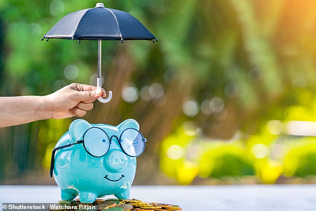 Tax haven: Like pensions, Isas protect your wealth from tax and allow your money to grow without paying a cent in dividends, capital gains or interest earned.