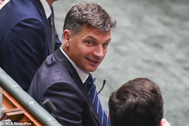 Albanese went on a lengthy parliamentary tirade after shadow treasurer Angus Taylor (pictured) asked him if Labor had plans to tax owner-occupiers' properties.