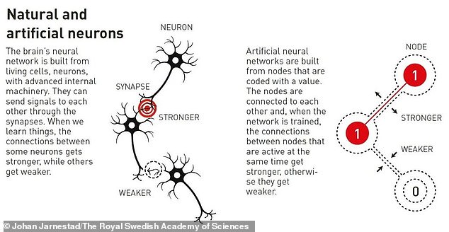 Today's AIs use a system called Artificial Neural Networks that would not be possible without the work of Dr. Hopfield and Dr. Hinton.