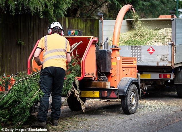 O'Neill declined to say whether he planned to sue the tree care company he worked for or the company that makes the anklets, but said he believed that if the device was not on it could have been released (file image).