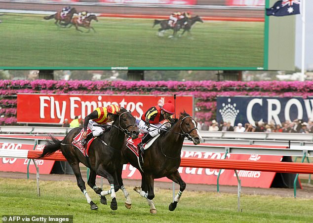 It was also the last competitive race that Delta Blues (right) won, and the horse won a total of six races during his brilliant career.