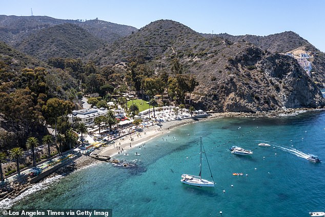 Along with the debris, authorities also located the five victims who lost their lives in the accident. Their identities have not yet been revealed. (pictured: archive image of Catalina Island)