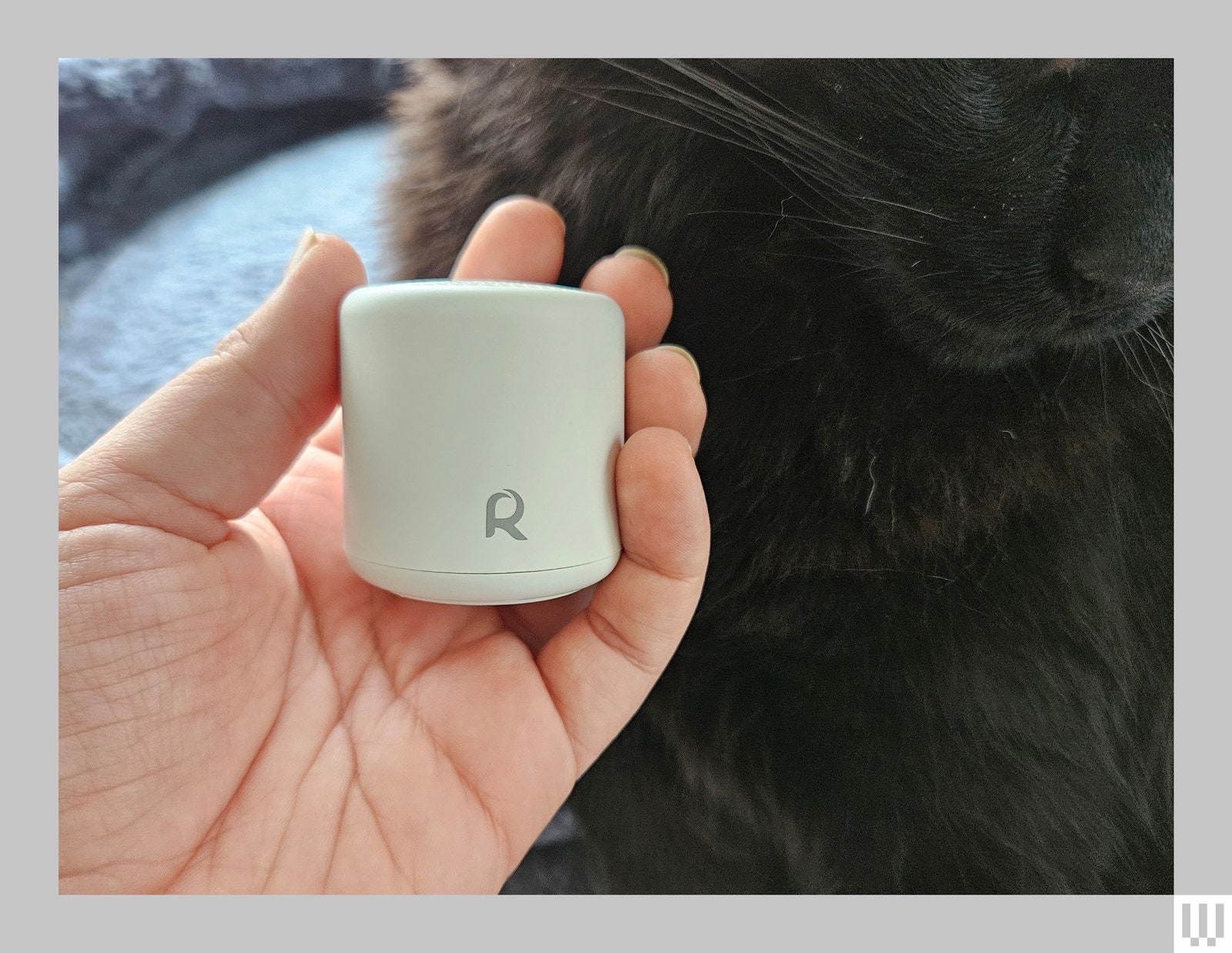 Small cylinder-shaped speaker in a person's hand with a cat on the right