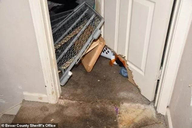 The pit bulls burst through the door of the room where the girl and the baby were.